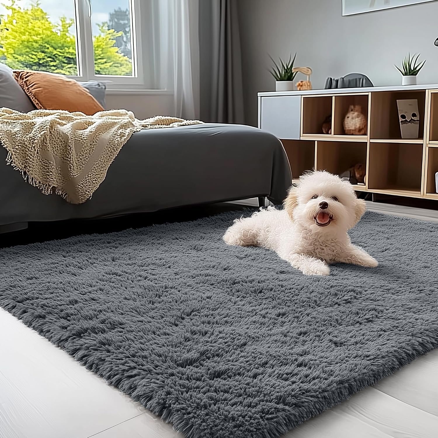 Dog lying on a soft grey shaggy rug in a bedroom